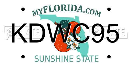 KDWC95 Florida License Plate