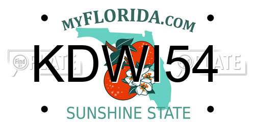 KDWI54 Florida License Plate