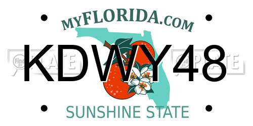 KDWY48 Florida License Plate