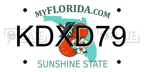KDXD79 Florida License Plate
