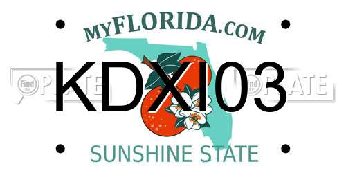KDXI03 Florida License Plate