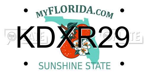 KDXR29 Florida License Plate