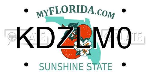 KDZLM0 Florida License Plate