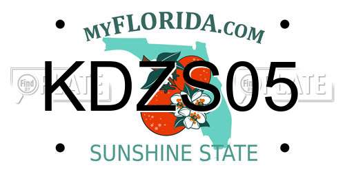 KDZS05 Florida License Plate