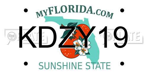 KDZY19 Florida License Plate