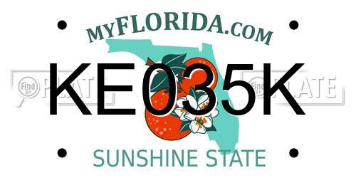 KE035K Florida License Plate