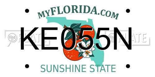 KE055N Florida License Plate