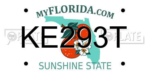 KE293T Florida License Plate