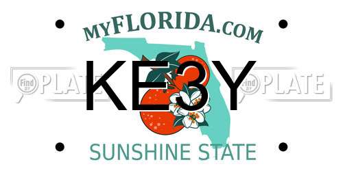 KE3Y Florida License Plate
