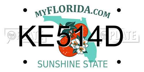 KE514D Florida License Plate