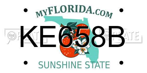KE658B Florida License Plate