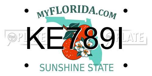 KE789I Florida License Plate