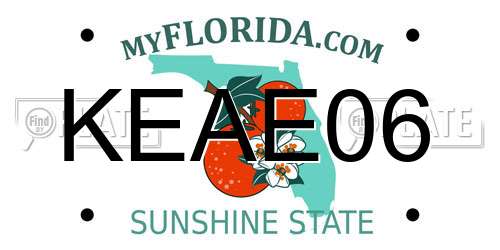 KEAE06 Florida License Plate