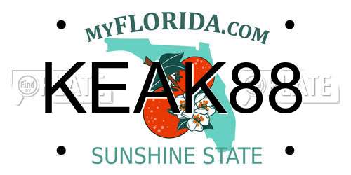 KEAK88 Florida License Plate