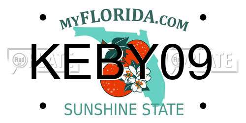 KEBY09 Florida License Plate