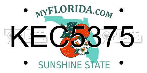 KEC5375 Florida License Plate