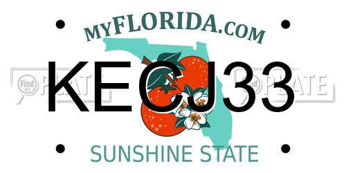 KECJ33 Florida License Plate