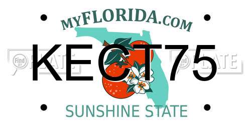 KECT75 Florida License Plate
