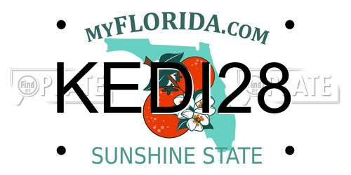 KEDI28 Florida License Plate