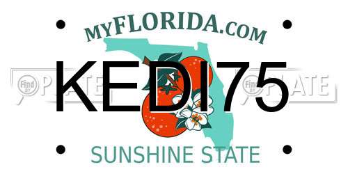 KEDI75 Florida License Plate