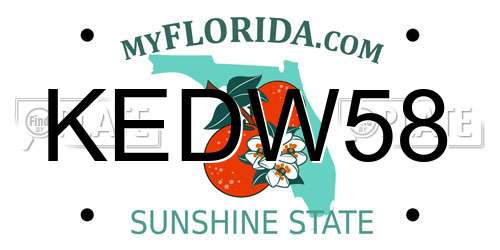 KEDW58 Florida License Plate