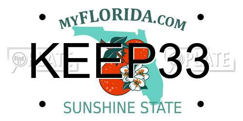KEEP33 Florida License Plate