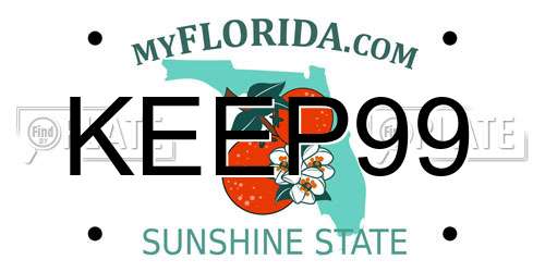 KEEP99 Florida License Plate