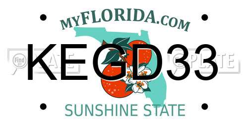 KEGD33 Florida License Plate
