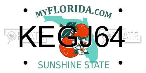 KEGJ64 Florida License Plate