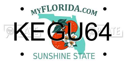 KEGU64 Florida License Plate