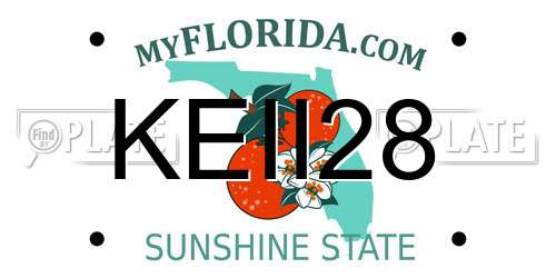 KEII28 Florida License Plate