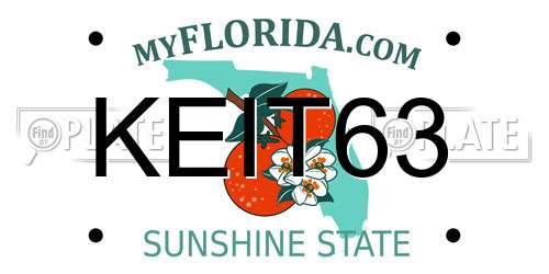 KEIT63 Florida License Plate