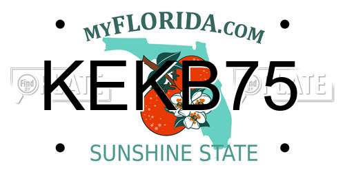 KEKB75 Florida License Plate