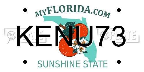 KENU73 Florida License Plate