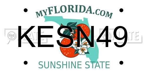 KESN49 Florida License Plate