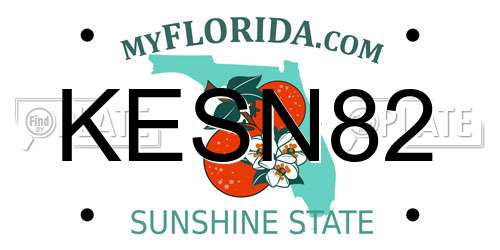 KESN82 Florida License Plate