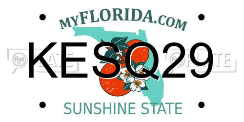 KESQ29 Florida License Plate
