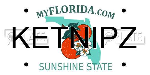 KETNIPZ Florida License Plate