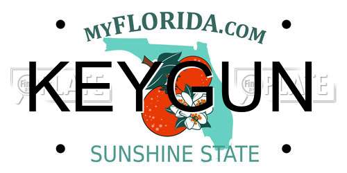 KEYGUN Florida License Plate