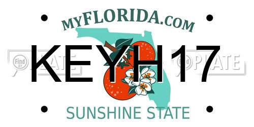 KEYH17 Florida License Plate