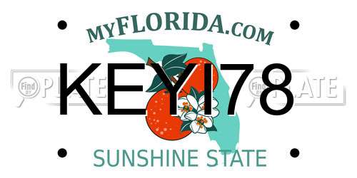KEYI78 Florida License Plate
