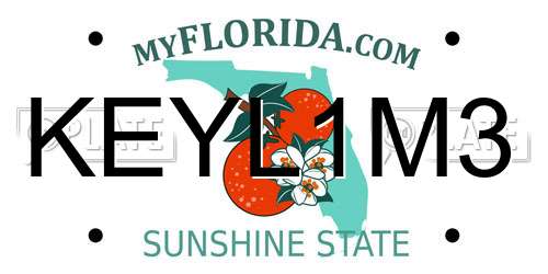 KEYL1M3 Florida License Plate