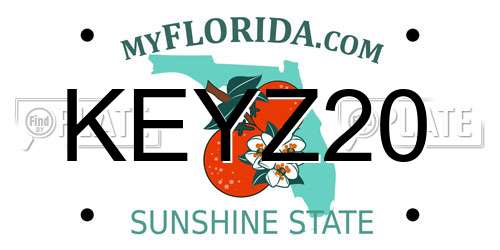 KEYZ20 Florida License Plate
