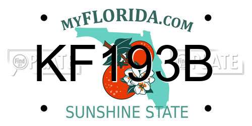 KF193B Florida License Plate