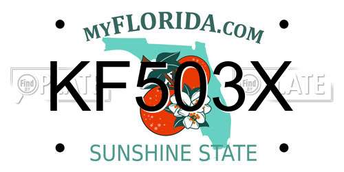 KF503X Florida License Plate