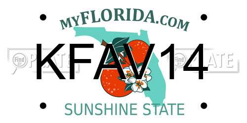 KFAV14 Florida License Plate