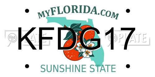 KFDG17 Florida License Plate