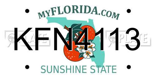 KFN4113 Florida License Plate