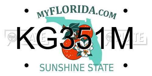 KG351M Florida License Plate