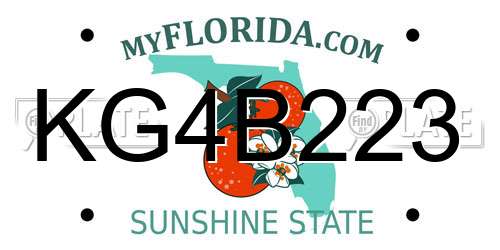 KG4B223 Florida License Plate